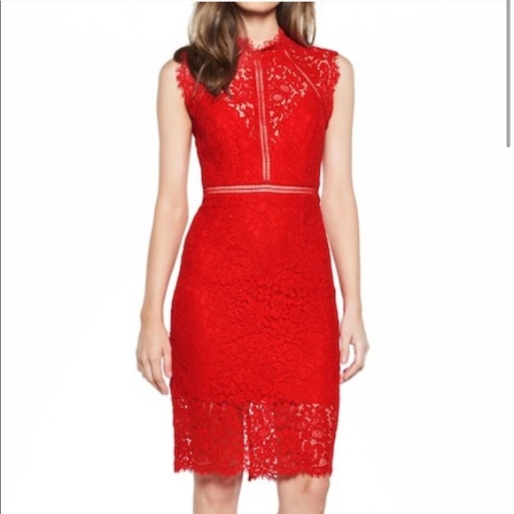 bardot lace sheath dress